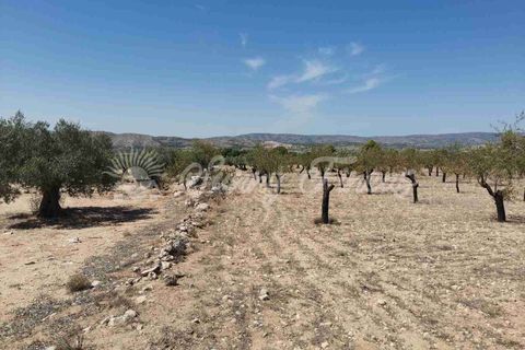 Terra a Biar, Alicante, Biar - € 49.995 | Ref: SF0427 - foto 4